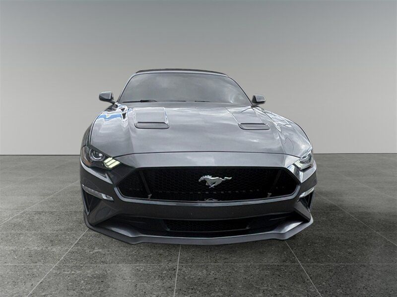 Used 2019 Ford Mustang GT Premium w/ Equipment Group 401A RWD image 9