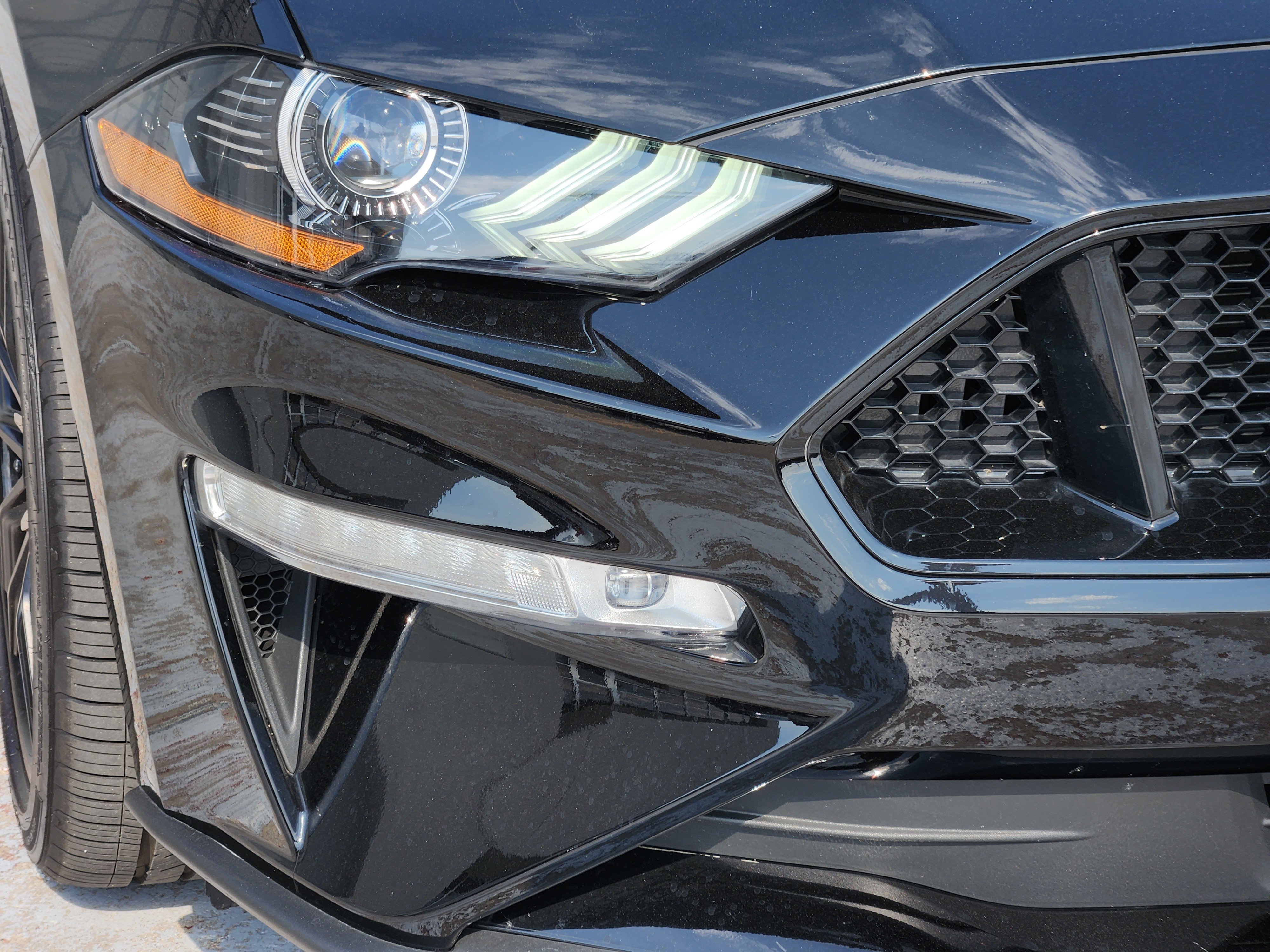 Used 2021 Ford Mustang GT Premium w/ Equipment Group 401A RWD image 10