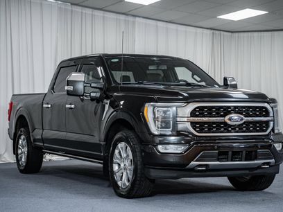 Used 2023 Ford F150 Platinum w/ FX4 Off-Road Package