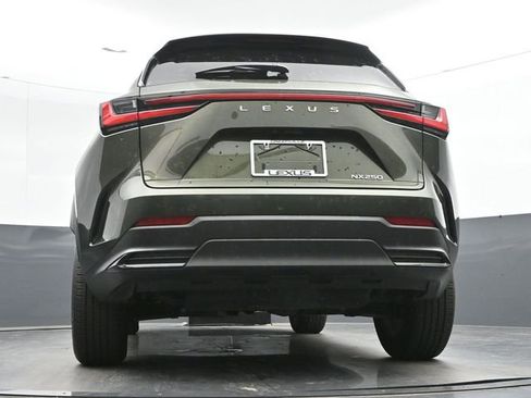 Used 2024 Lexus NX 250 FWD image 13
