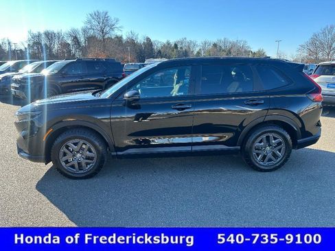 Certified 2026 Honda CR-V TrailSport image 3