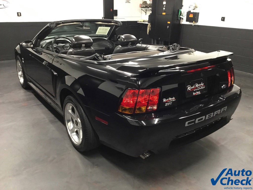 Used 2001 Ford Mustang Cobra RWD image 7