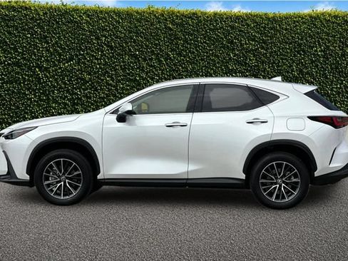 Used 2025 Lexus NX 250 FWD w/ Accessory Package (2T) image 7