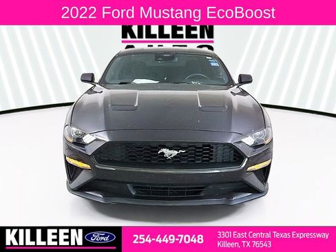 Used 2022 Ford Mustang Coupe image 2