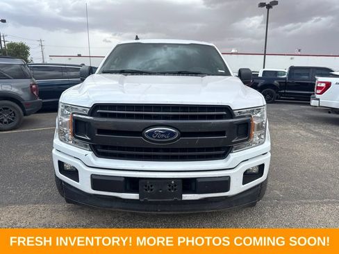 Used 2019 Ford F150 XLT w/ Equipment Group 302A Luxury RWD image 7