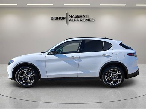 New 2025 Alfa Romeo Stelvio Sprint image 4
