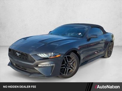 Used 2018 Ford Mustang Premium w/ Equipment Group 201A