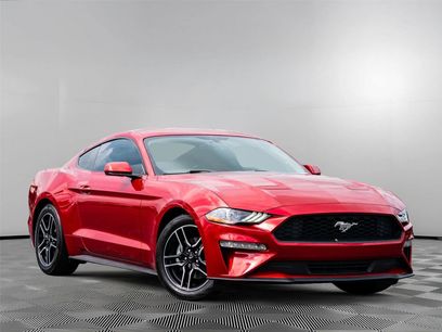 Used 2020 Ford Mustang Coupe w/ Equipment Group 101A