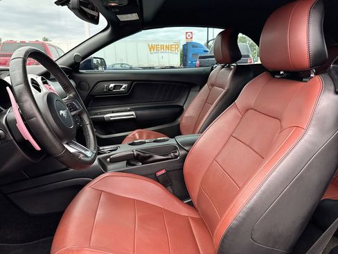 Used 2017 Ford Mustang GT Premium w/ Equipment Group 401A RWD image 7