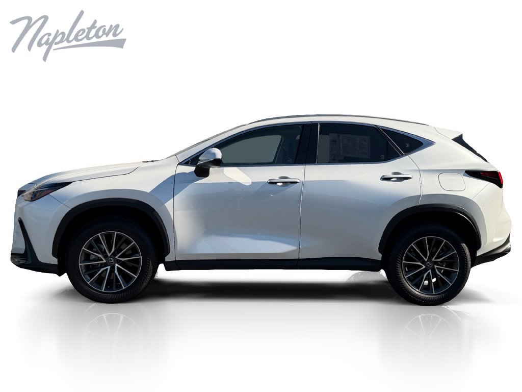 Used 2024 Lexus NX 350 AWD w/ Cold Area Package image 2