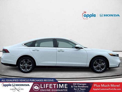 Used 2025 Honda Accord EX-L image 2