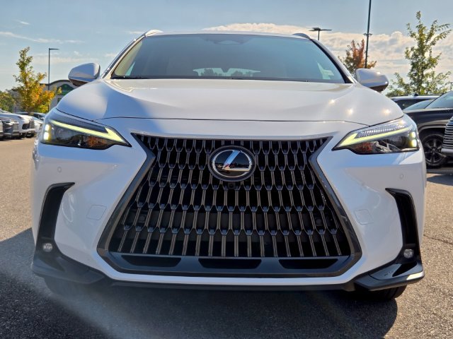Used 2026 Lexus NX 350h AWD w/ Accessory Package (2T) image 7