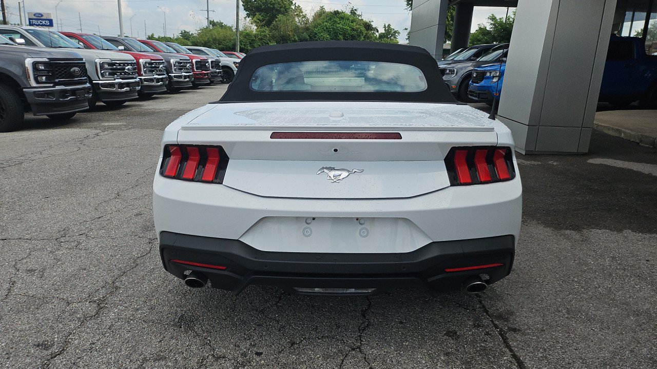 Used 2024 Ford Mustang Premium RWD image 5