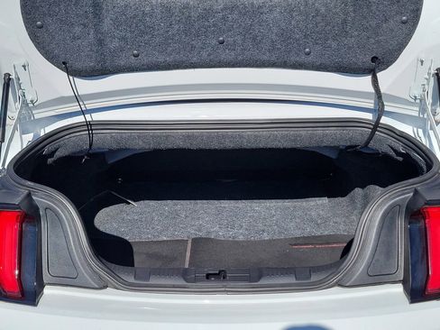 Used 2019 Ford Mustang GT Premium w/ Equipment Group 401A image 9