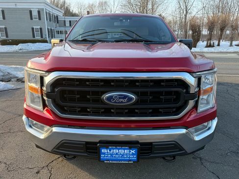 Used 2021 Ford F150 XLT w/ Equipment Group 301A Mid image 2