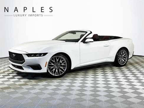 Used 2024 Ford Mustang Premium RWD image 1