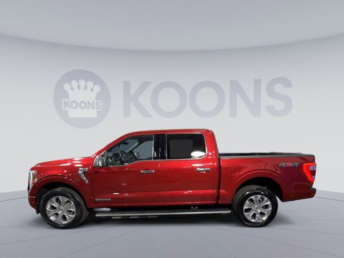 Used 2021 Ford F150 Platinum w/ Equipment Group 701A High AWD/4WD image 13