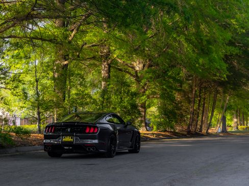 Used 2016 Ford Mustang Shelby GT350 w/ Technology Package image 38