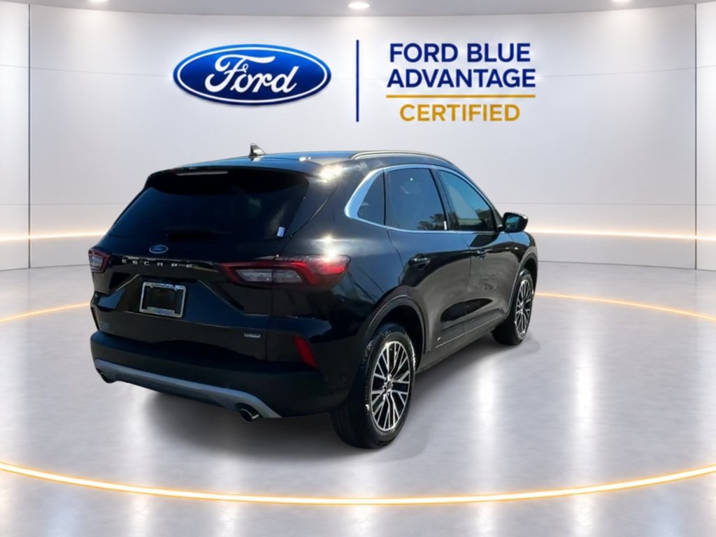 Used 2025 Ford Escape SE FWD image 9