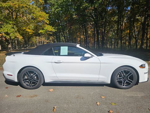 Used 2018 Ford Mustang Premium image 4