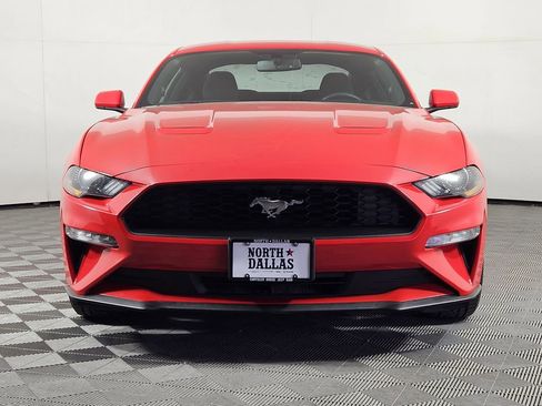 Used 2019 Ford Mustang Coupe image 2