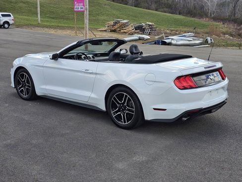 Used 2023 Ford Mustang Premium image 4