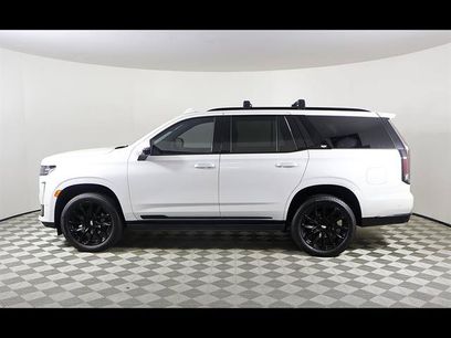 Used 2023 Cadillac Escalade Sport w/ LPO, ONYX Package