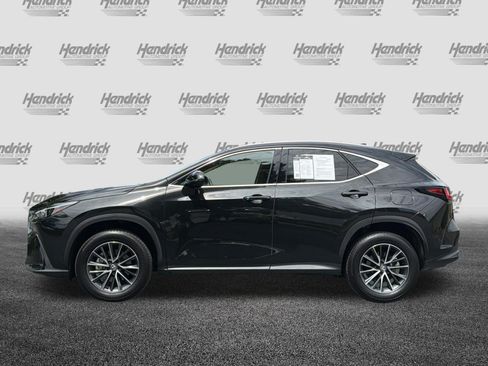 Certified 2025 Lexus NX 350 AWD w/ Cold Area Package image 8