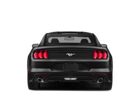 Used 2018 Ford Mustang GT Premium w/ Equipment Group 401A RWD image 5