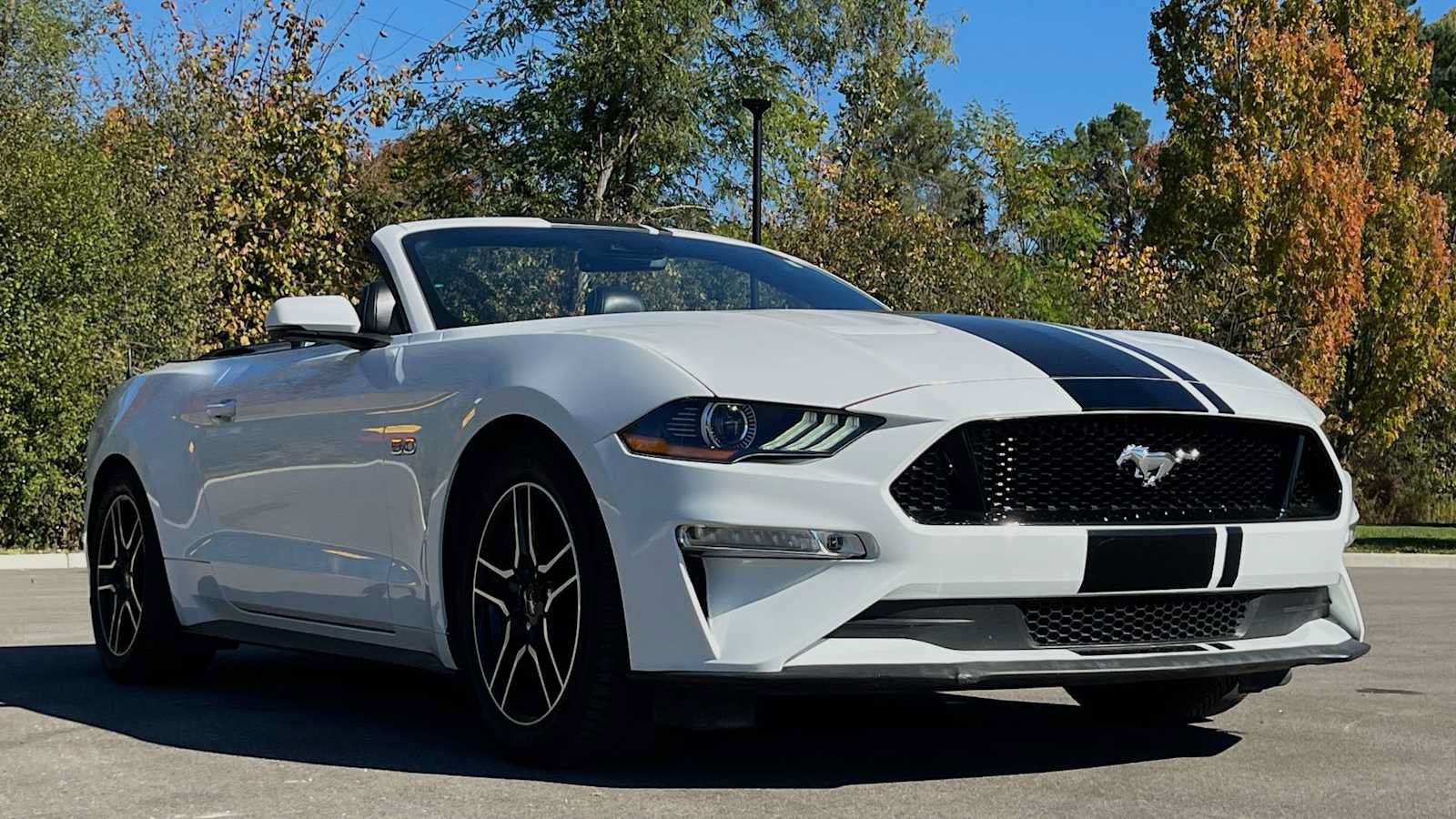 Used 2019 Ford Mustang GT Premium w/ Equipment Group 401A RWD image 20