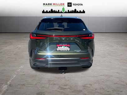 Used 2025 Lexus NX 350h AWD w/ Cold Area Package