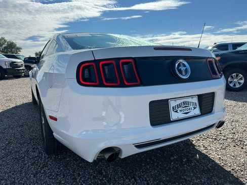 Used 2014 Ford Mustang Premium RWD image 8