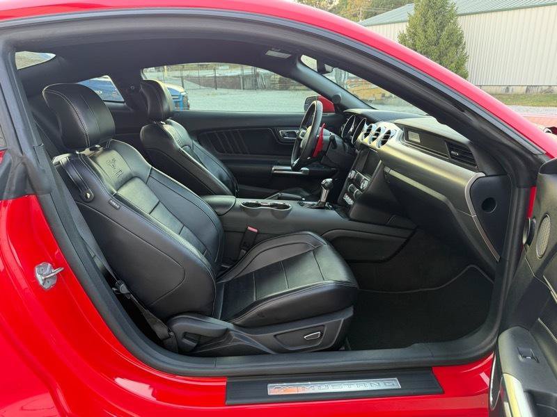 Used 2015 Ford Mustang GT Premium w/ 50 Years Appearance Package RWD image 11
