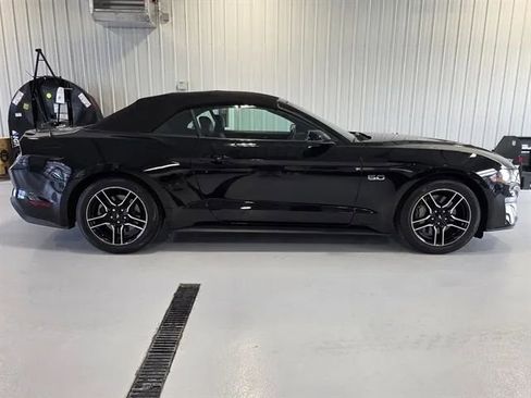 Used 2019 Ford Mustang GT Premium w/ Equipment Group 401A image 2