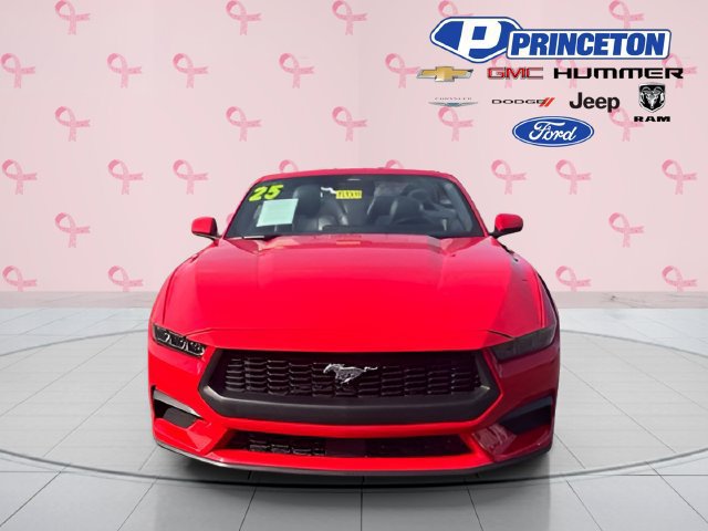 Used 2025 Ford Mustang Premium RWD image 3