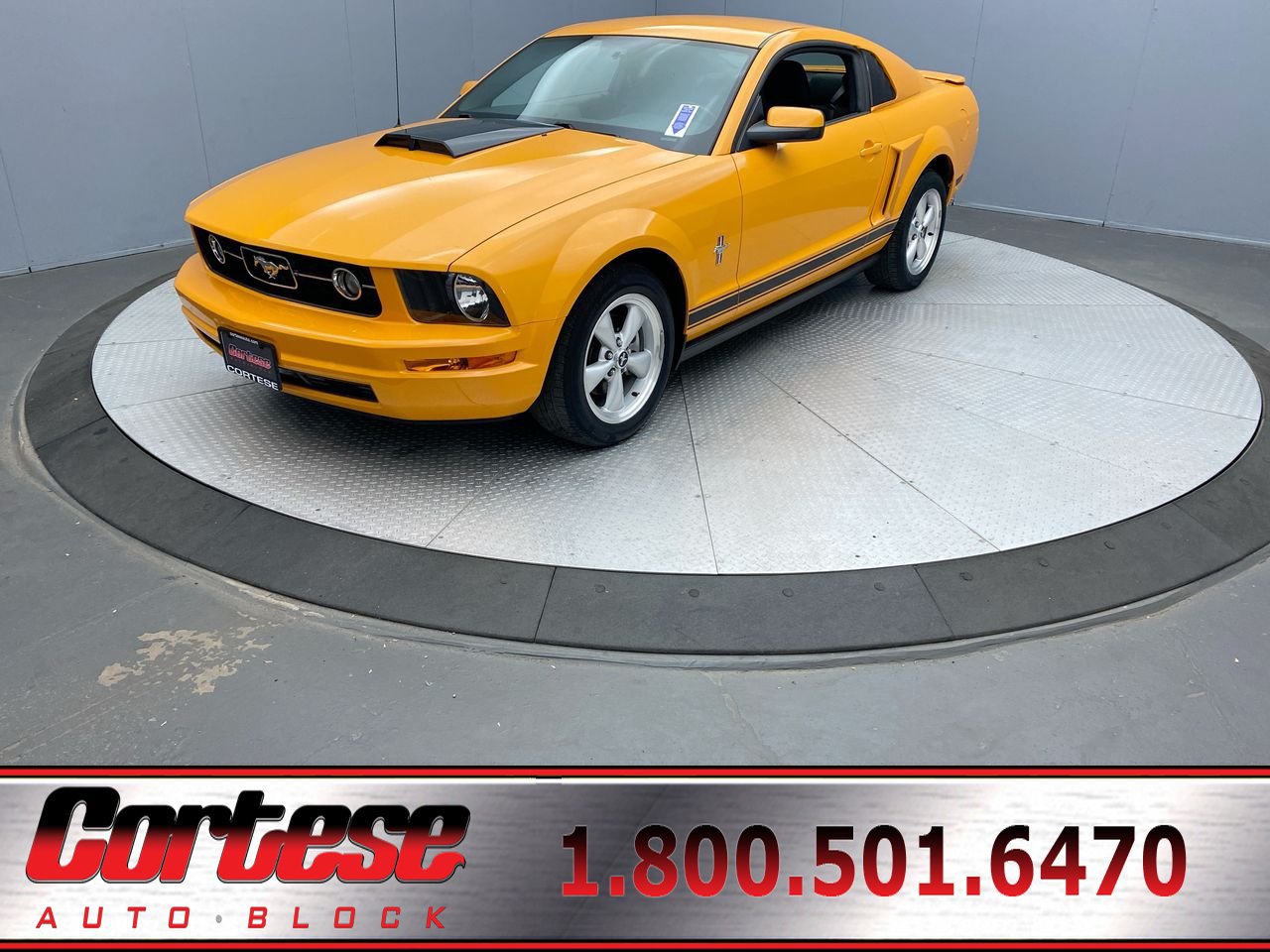 Used 2008 Ford Mustang Coupe RWD image 1
