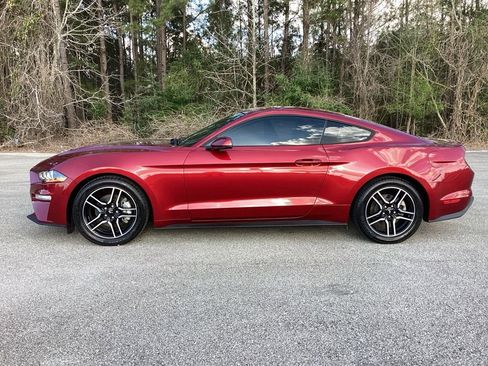 Used 2019 Ford Mustang Premium w/ Enhanced Security Package image 6