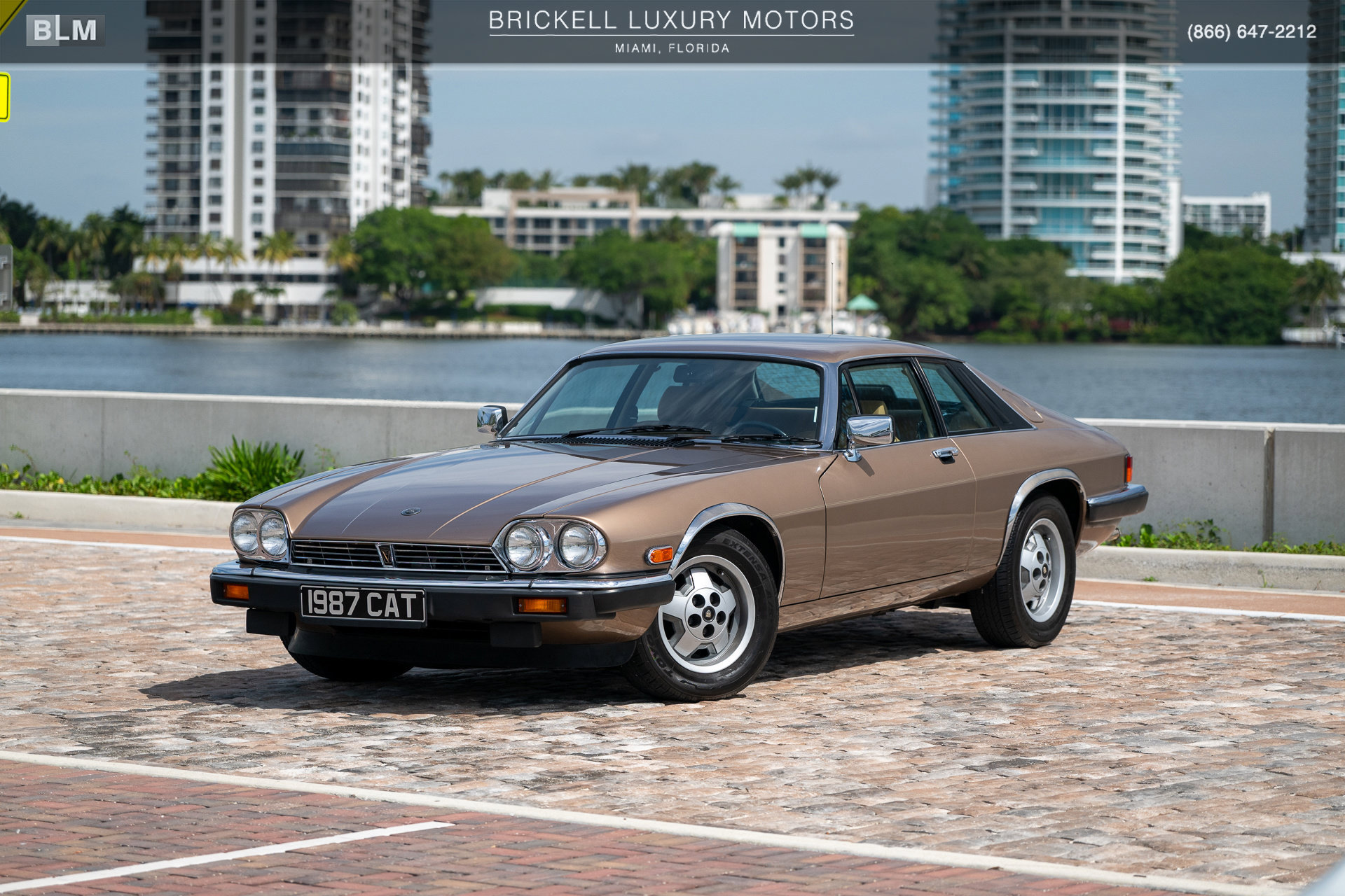 Used 1987 Jaguar XJS V12 Coupe RWD image 9