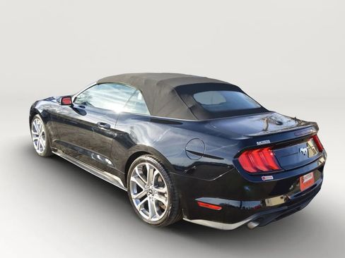 Used 2019 Ford Mustang Premium w/ Equipment Group 201A RWD image 4