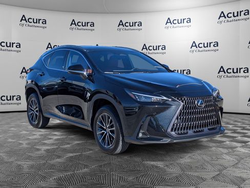 Used 2024 Lexus NX 350h AWD w/ Premium Package image 1