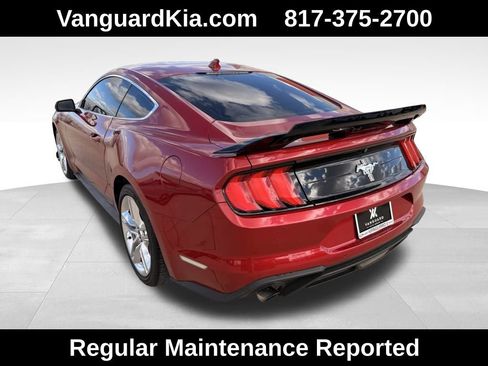 Used 2020 Ford Mustang Premium w/ Equipment Group 201A image 2