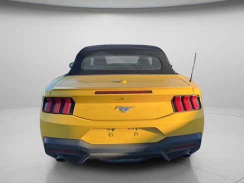 Used 2024 Ford Mustang Premium image 8