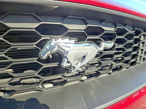 Used 2019 Ford Mustang Premium w/ Equipment Group 201A image 29