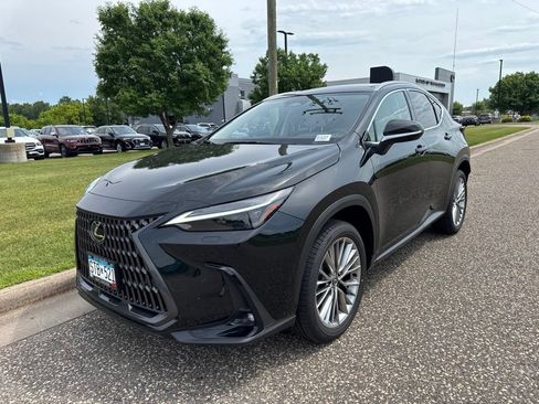 Used 2025 Lexus NX 350h AWD w/ Cold Area Package image 4