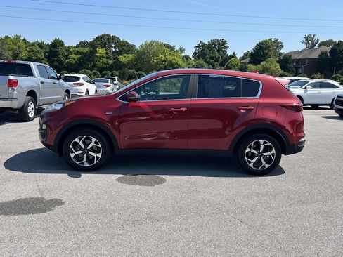Used 2020 Kia Sportage LX w/ LX Popular Package AWD/4WD image 8
