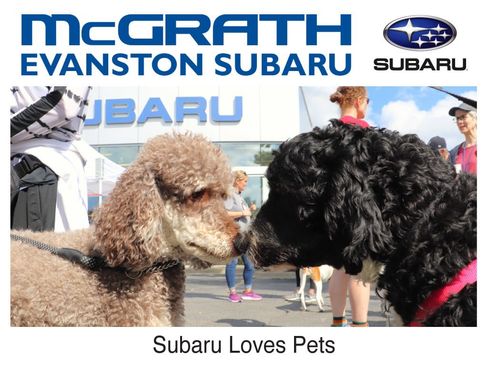 Used 2024 Subaru Crosstrek 2.0i Premium image 7