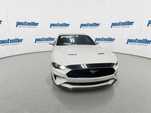 Used 2019 Ford Mustang GT w/ Equipment Group 301A RWD image 3