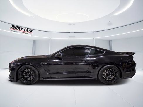 Used 2018 Ford Mustang Shelby GT350 w/ Convenience Package RWD image 6