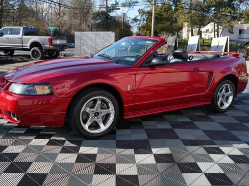 Used 2001 Ford Mustang Cobra image 12