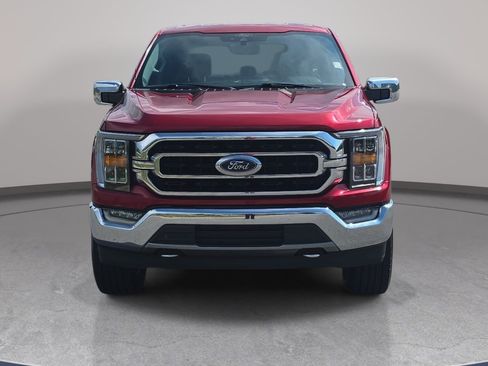 Used 2021 Ford F150 XLT w/ Equipment Group 302A High AWD/4WD image 2